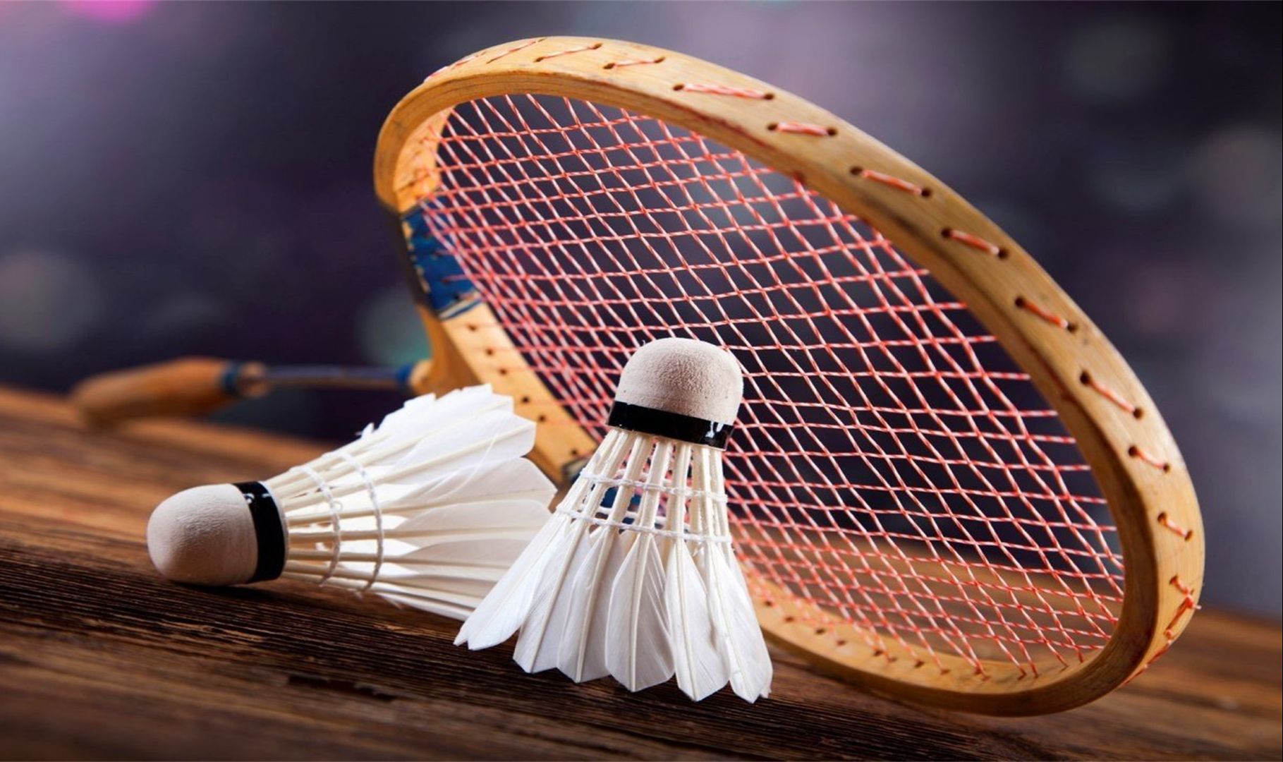 了更稳固的 了更稳固的